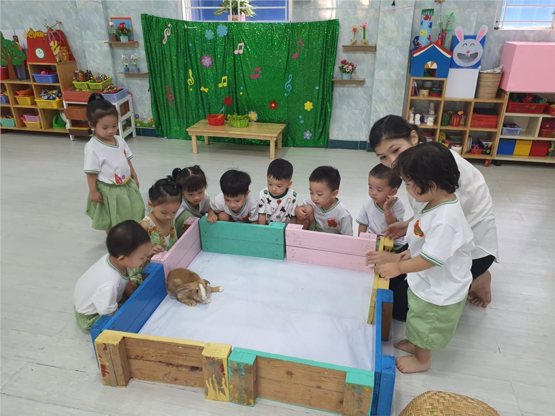 Ảnh đại diện
